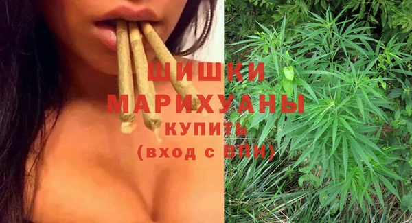 PSILOCYBIN Богданович